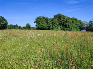 terrain à la vente -   61320  CARROUGES, surface 997 m2 vente terrain - UBI472058345